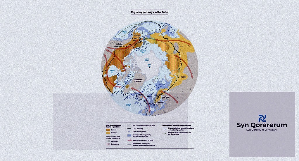 Veritabanı Entegrasyon Kılavuzu: Farklı Sistemlerle Kesintisiz Bağlantı - section 2