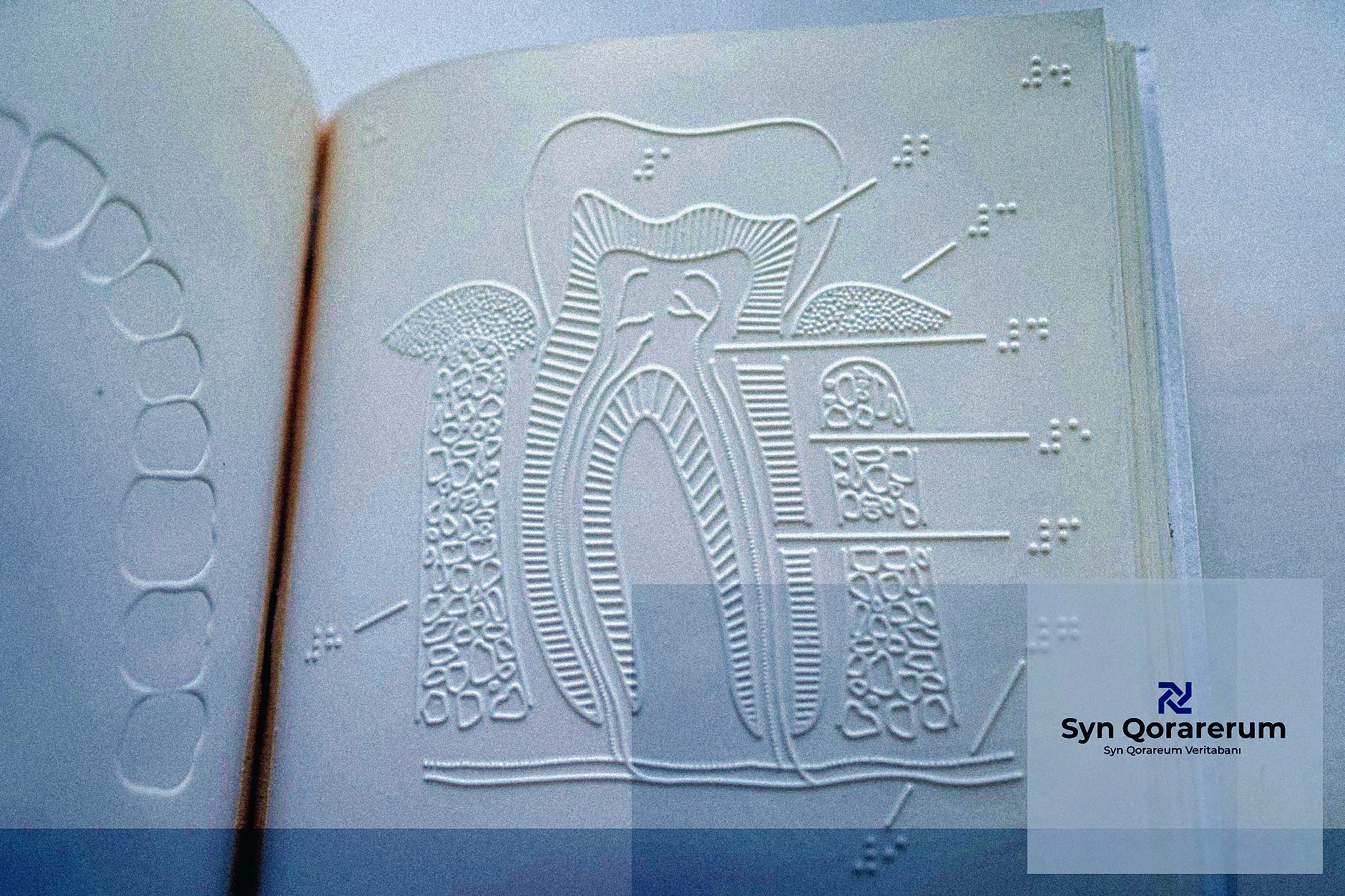 Sektörel Başarı Hikayeleri: Veritabanı Çözümleriyle Dönüşen İşler - section 1