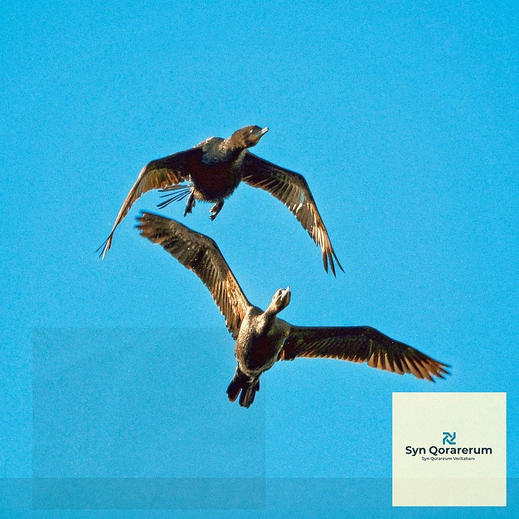 Felaket Kurtarma Stratejileri: Verilerinizi Güvenle Geri Yükleyin - section 6