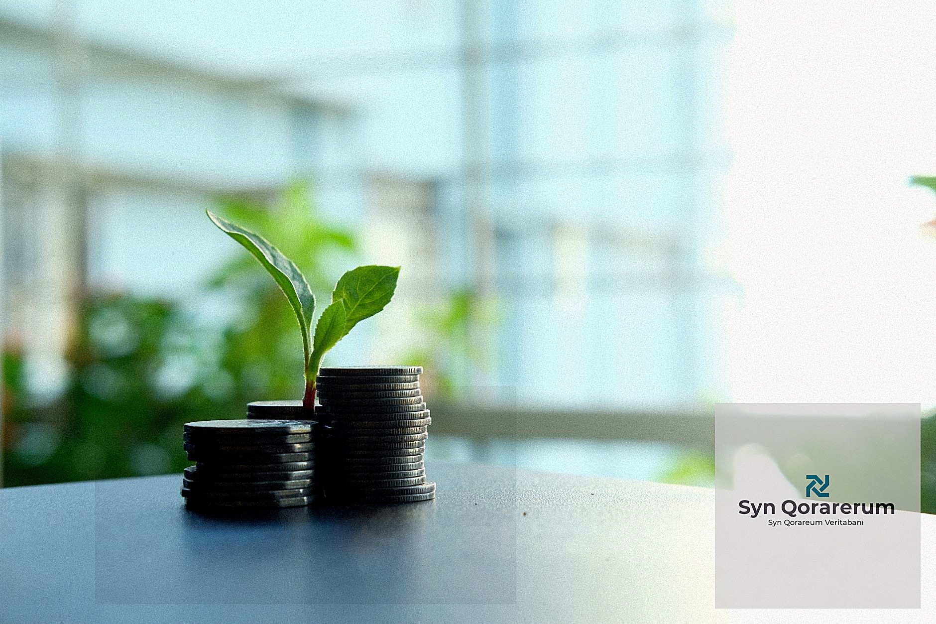 Geliştirici Dostu Veritabanı Araçları: Hızlı ve Verimli Geliştirme Ortamları